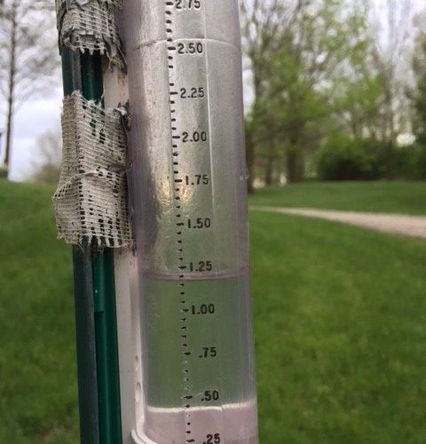 Rainfall Benefits First Harvest Plot